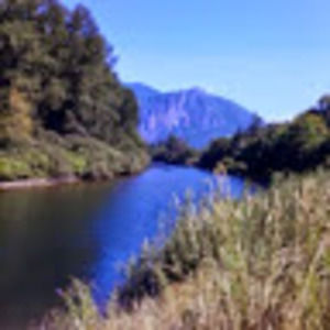 Meet your Posher, Dwight